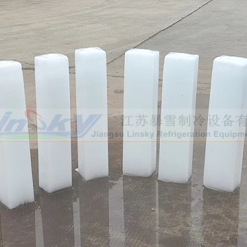 3 Ton Block Ice Machine for Sale in Philippines