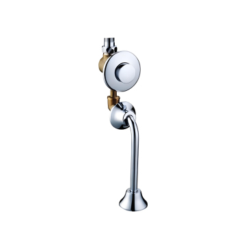 Wholesale Chrome Plated Time-Delay Valve for Urinals