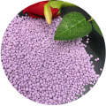 NPK 10-20-10肥料植物栄養素CAS 6455-26-3
