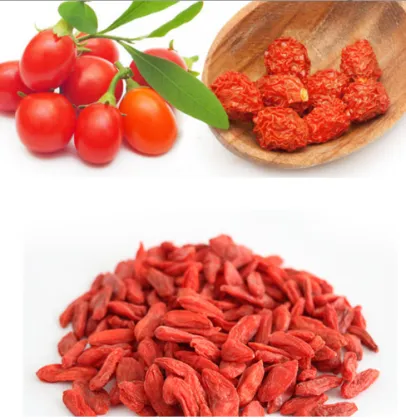 Natural bulk dried organic wolfberry