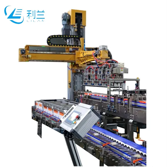 Single Column Carton Packer for Barrels/Pouches/Boxes/Bags/Cans