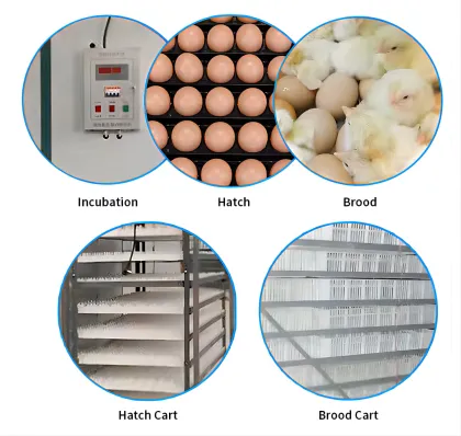 Commercial Incubators: Wholesale High Hatching Rate 1500 Egg Incubator