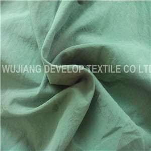 184t Polyamide Taslon Fabri for Garment Fabric (DN2036)