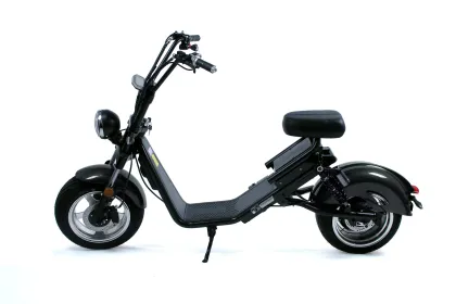 EEC/COC Electric Citycoco Motorcycle