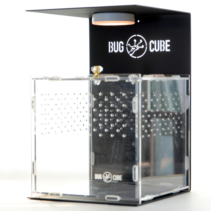 Caixa de criação de acrílico de tamanho personalizável para répteis