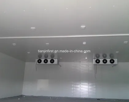 Cold Room / Cold Store / Cold Storage