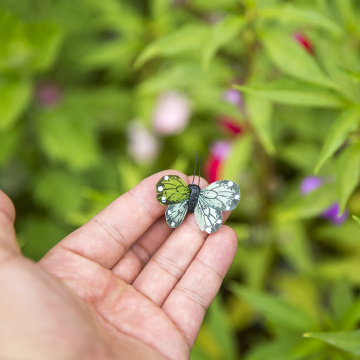 Historia de la mariposa de Pascua