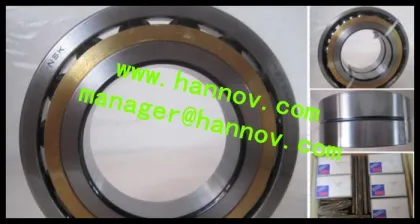 NSK bearings