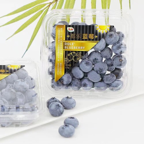 Συσκευασία Plastic Berries Punnets Raspberry για Φρουτοπωλείο