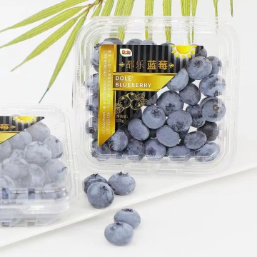 Plastic Berries Punnets Raspberry Packaging for Fruit Store