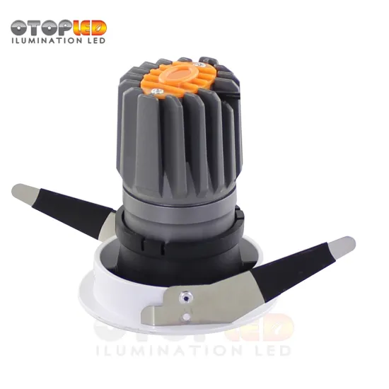LED Module Down Light