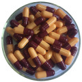 empty hpmc capsules blue-gray capsule ISO