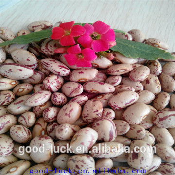 Chinese mottled pulse