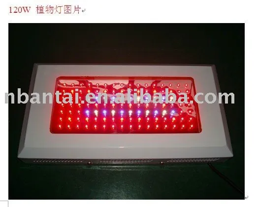 LED 120W GROW LAMP