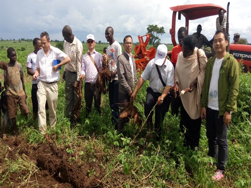 TAGRM MSU1600 Cassava Harvester 