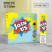 Großhandel beliebte 6ml Breze Stiik 2200 Puffs