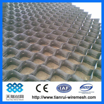 high strength geocell with best price Made In China