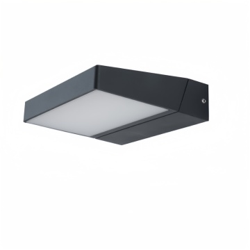 Adjustable Angle Die-Casting Aluminum LED Outdoor Wall Lamp