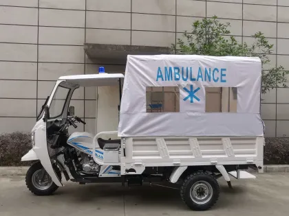 Special Tricycle for Unique Transportation Needs