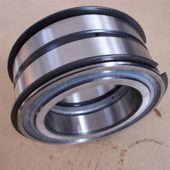 SL04 5004-PP Ball Bearing Cylindrical Roller Bearings 20x42x30mm for Motor
