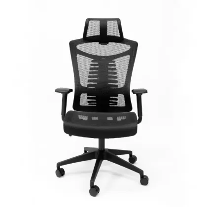 Ergonomic home office chair