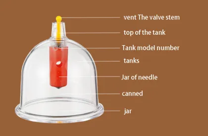 Vacuum cupping Household suction type 12 cans and tank protection of thickening cupping glass
