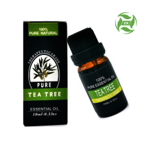100 ٪ خالص چای طبیعی درخت چای طبیعی عمده فروشی قیمت فله