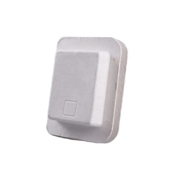 Sugarcane Bagasse Pulp Molded Green Tea Packaging Box