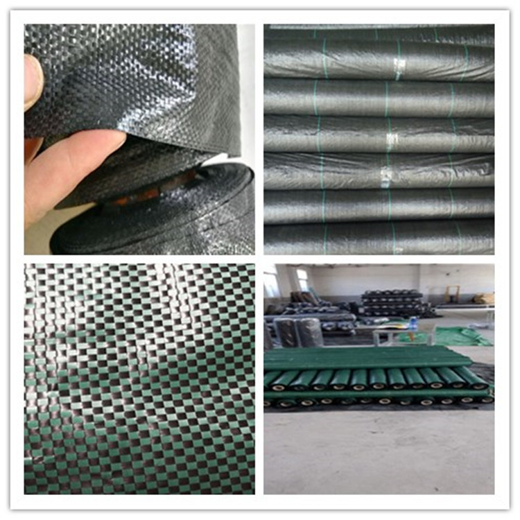 Weed Control Mesh