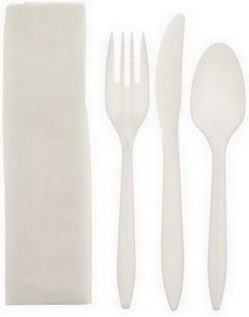 Disposable Wrapped Plastic Cutlery , Clear Ps Spoons L103mmxw28mm