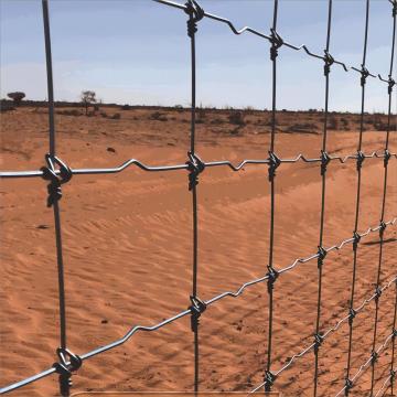 Fixed Knot Woven Wire Fence Fabric