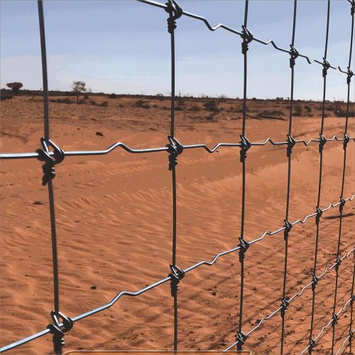 Fixed Knot Woven Wire Fence Fabric