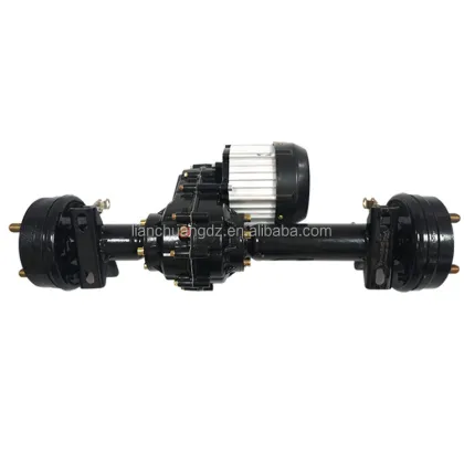 Electric Differential Tricycle Motors: 500W to 1500W, 48V, 60V, 72V with Disc/Drum Brake Rear Axle