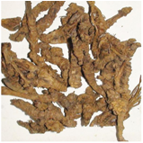Reduce Blood Fat And Blood Sugar Coptis