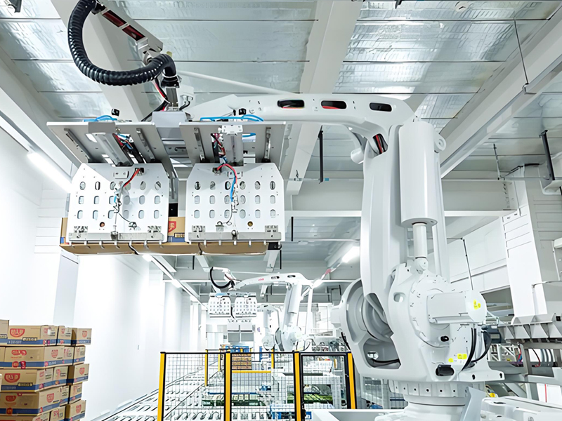 Heavy Duty Palletizing Robot Arm​