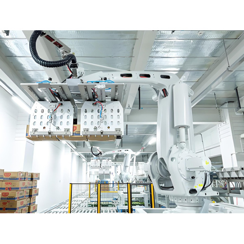 זרוע רובוט למשטחים כבדים