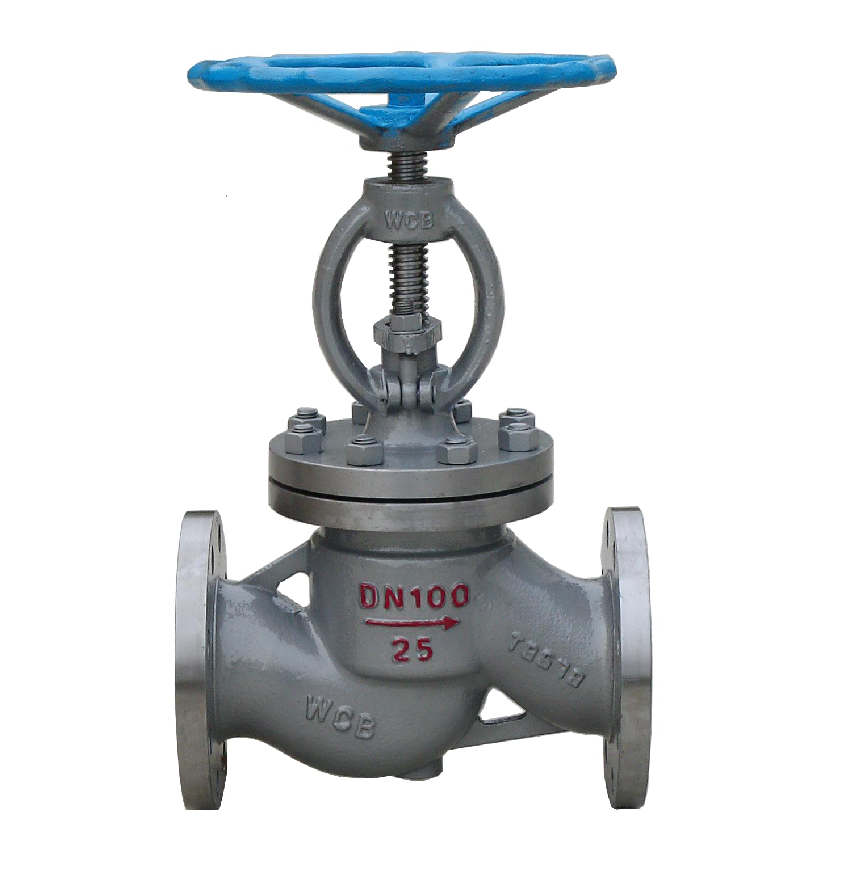 steam stop check valve