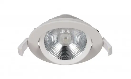 ETL Certificate Led Cob Down Light House