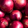 Red fresh onion from shandong