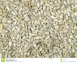 sunflower kernels chinese sunflower kernels oil BakeryType sunflower kernels
