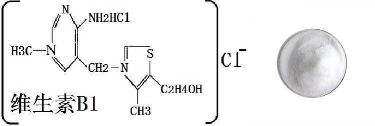 Vitamin B1 Powder