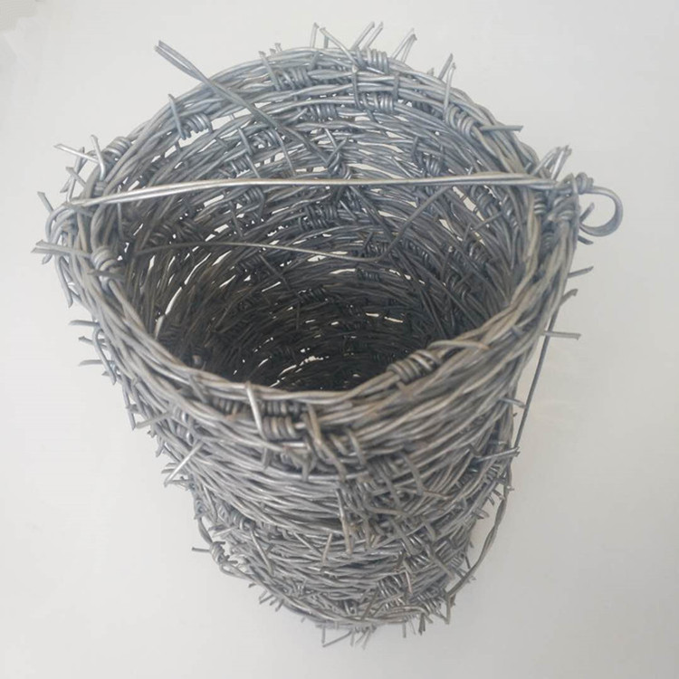 barbed wire p2