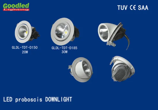 Outdoor Proboscis Dimmable Led Downlights 30w 2650lm Ip65 , Natural White
