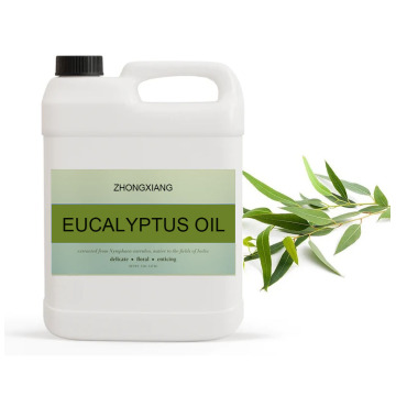 O óleo essencial de eucalipto natural 100% puro