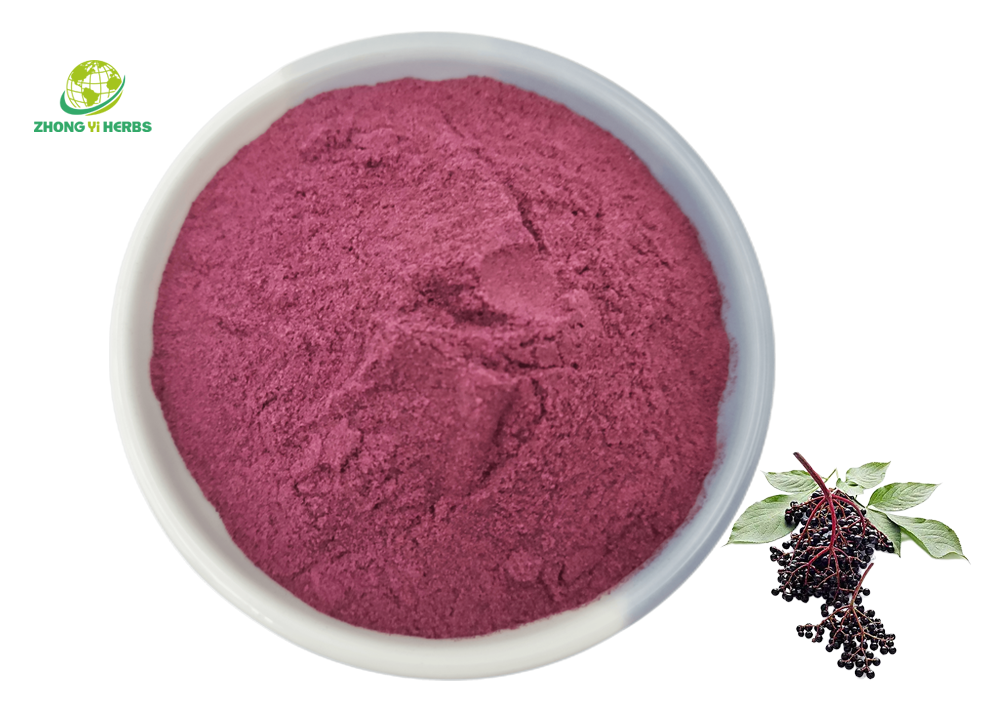 Elderberry juice powder