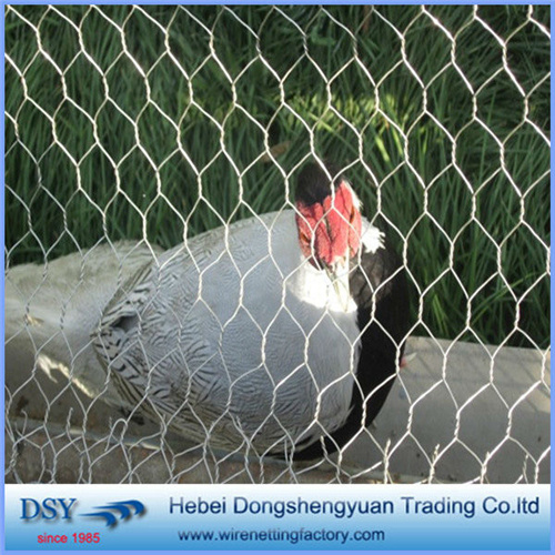 Q195 Hexagonal Chicken Wire Mesh