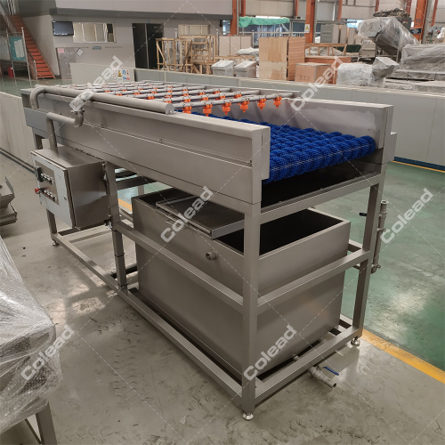Industrial Brush Washing Machine for root vegetable line