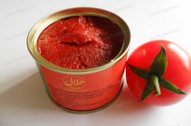 Tomato Paste