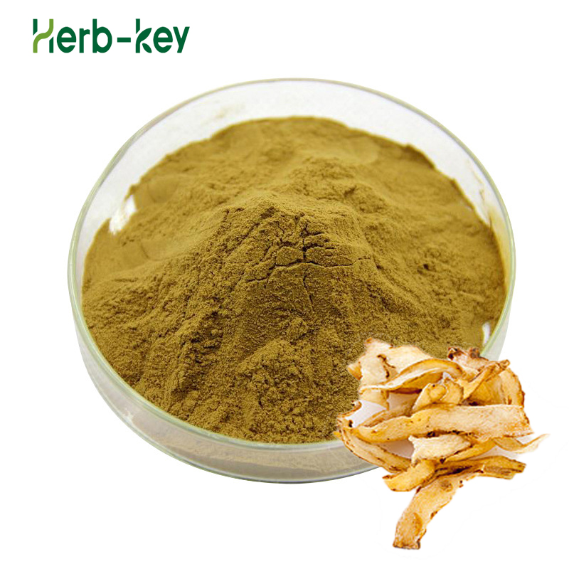 Polygonatum extract 10:1 powder Polygonatum odoratum