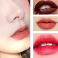 Lippenstift mit mattem Buntstift